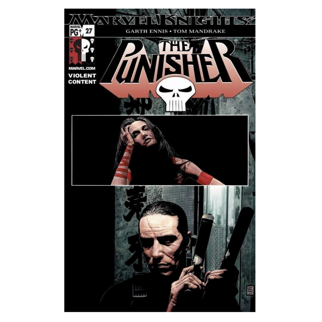 PUNISHER - 2001 #27