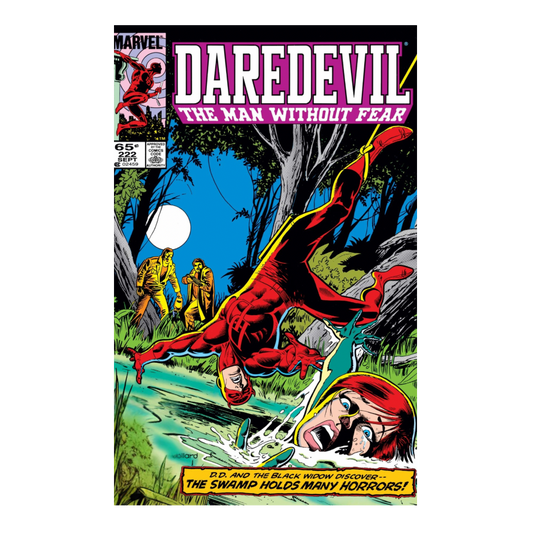DAREDEVIL #222 (1964)