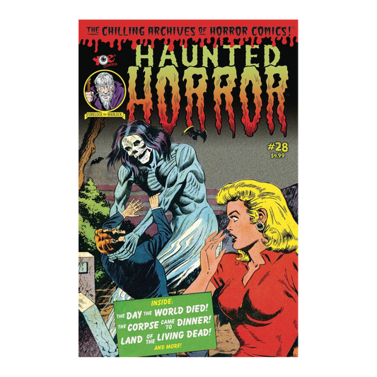 HAUNTED HORROR #28 (2012)