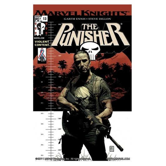PUNISHER - 2001 #13