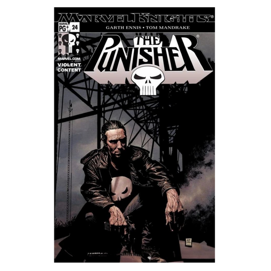 PUNISHER - 2001 #24