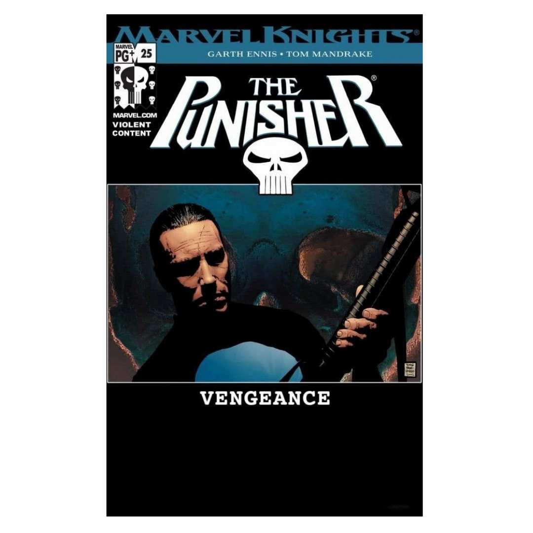 PUNISHER - 2001 #25