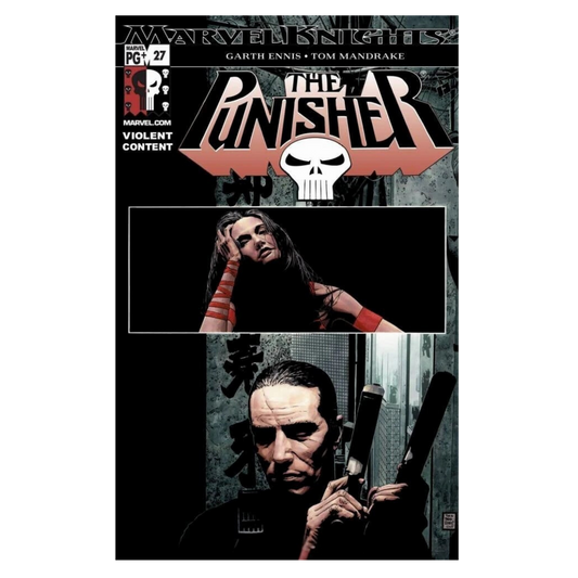 PUNISHER - 2001 #27
