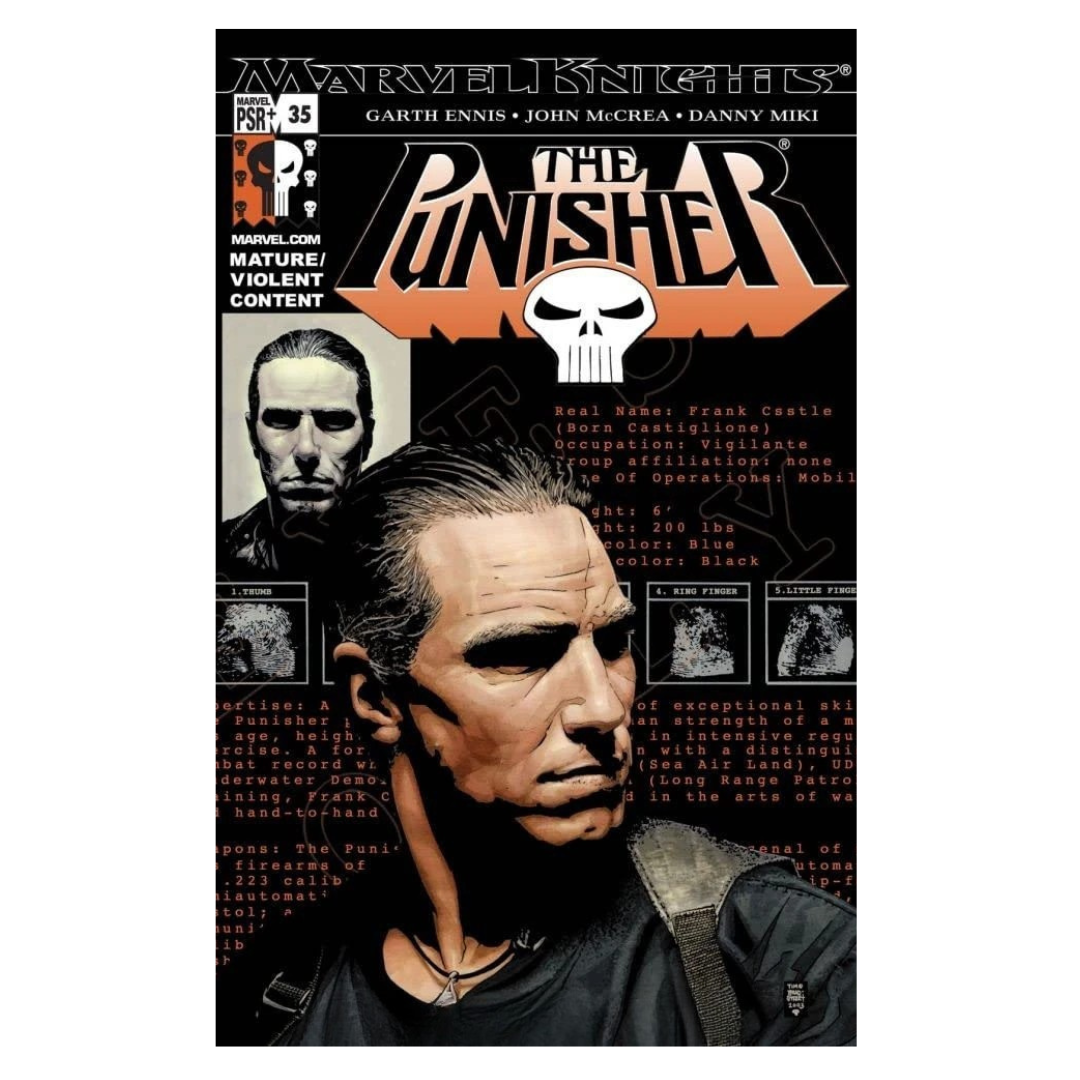 PUNISHER - 2001 #35