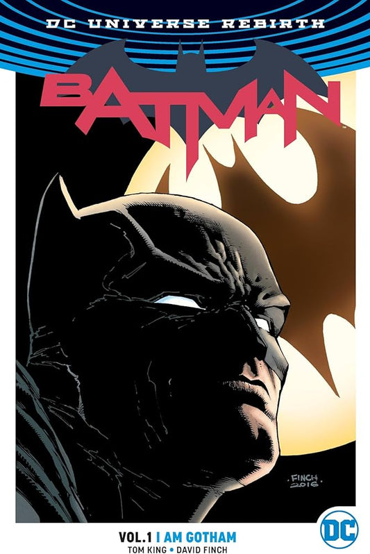 TPB : BATMAN - I AM GOTHAM VOL 01